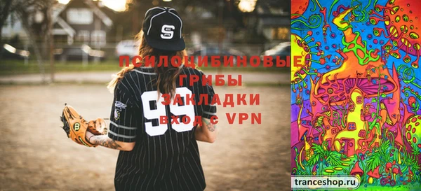 спайс Алексин