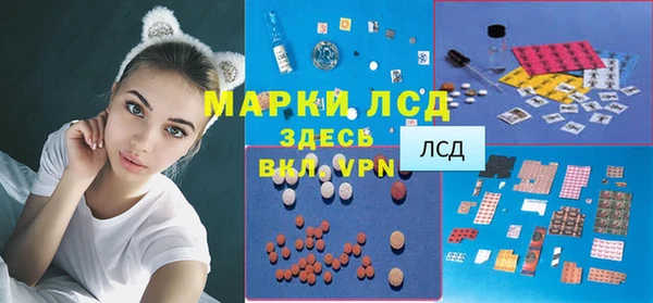 прущие грибы Новый Уренгой